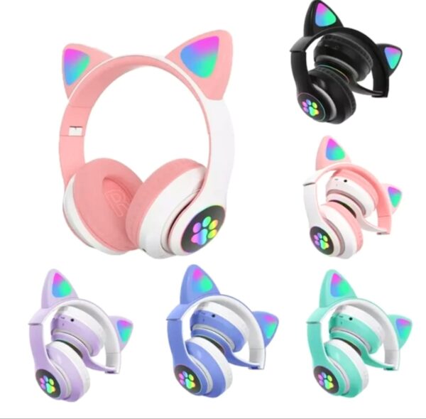 Cat 🐈 headphones 🎧
